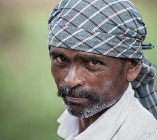 Man, Kumarakom, India